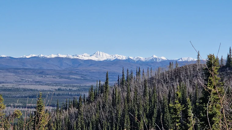 Yukon Klondike HighwayLandschaft