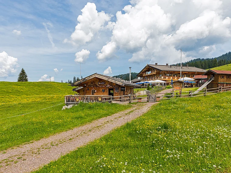 Reit im Winkl Winklmoosalm Sommer