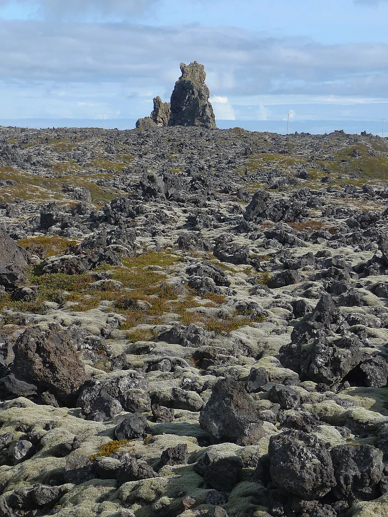 Island Arnarstapi Lavafeld