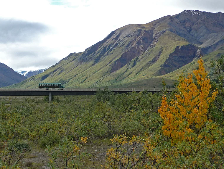 Alaska Denali National Park Shuttlebus