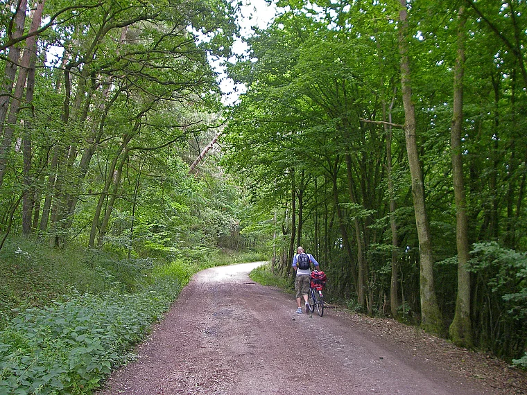 Hunsrück Schinderhannes Soonwald Radweg mit schiebendem Radfahrer