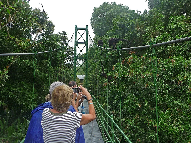 Costa Rica Affenbrücke