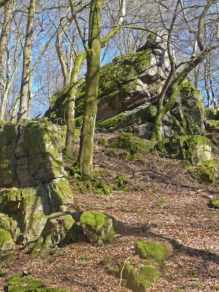 Saar-Hunsrück-Steig Traumschleife Felsenweg