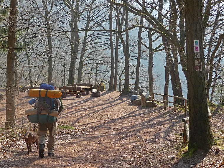 Saar-Hunsrück-Steig Wanderer mit Hund