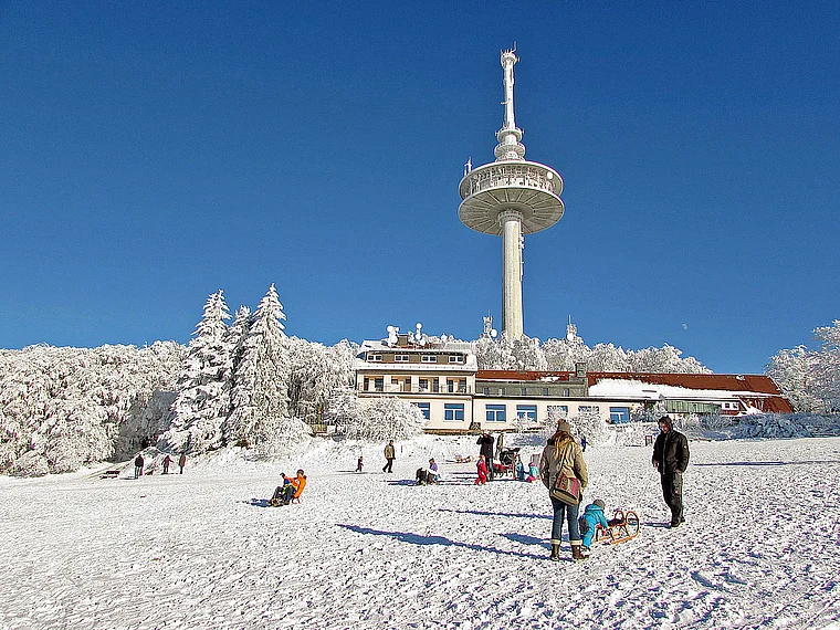 Schotten Hoherodskopf Rodeln Winter
