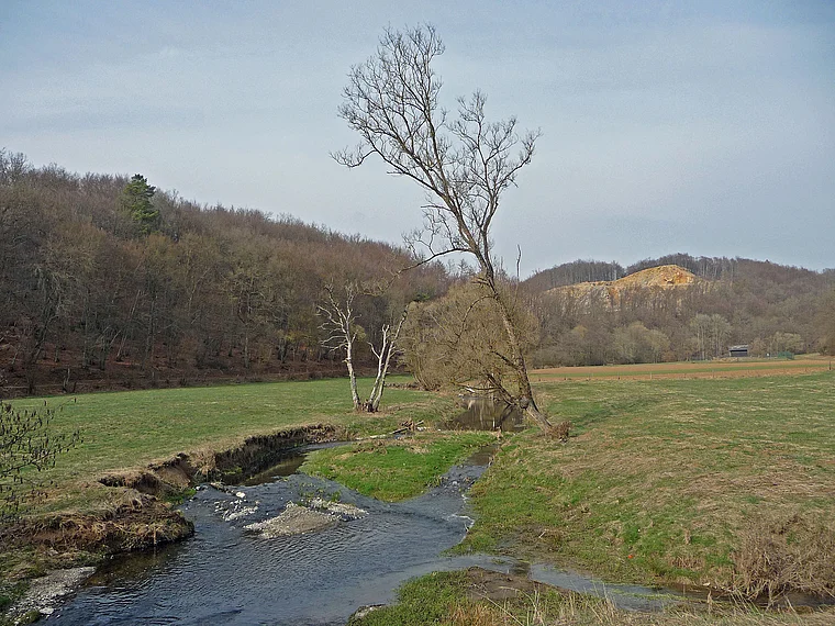 Vulkaneifel Landschaft mit Ahlbach