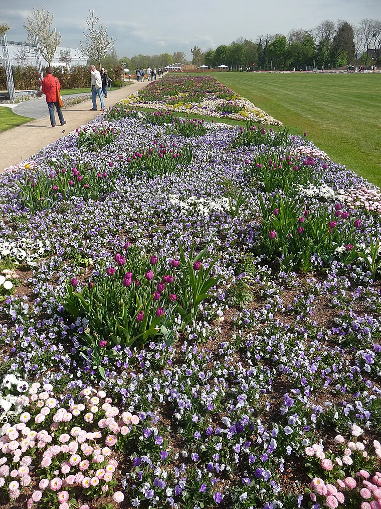 Koblenz Bundesgartenschau Festungsplateau großes Blumenbeet