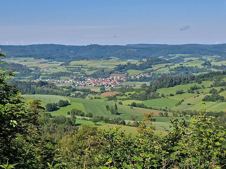 Alheim Niedergude  von fern