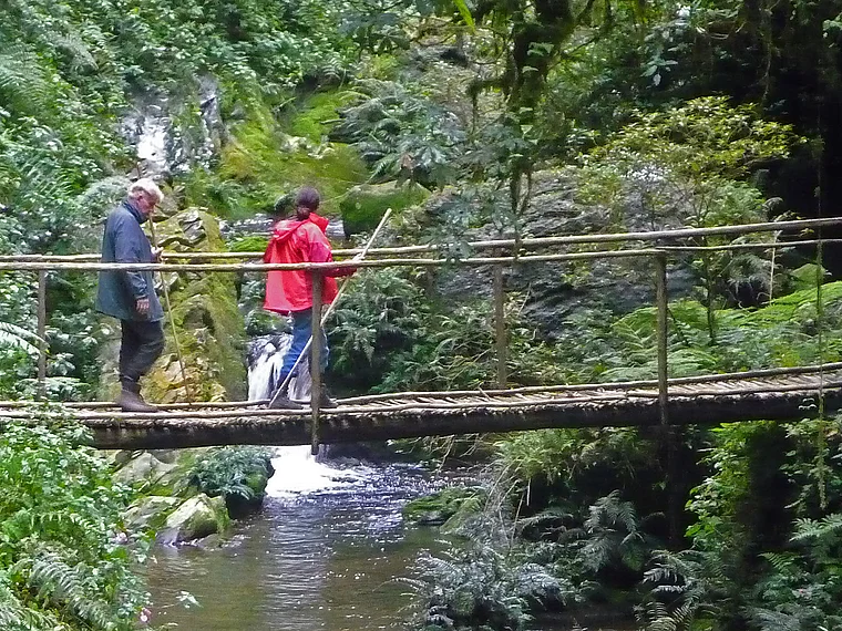 Ruanda Nyungwe National Park Wanderer auf Steg