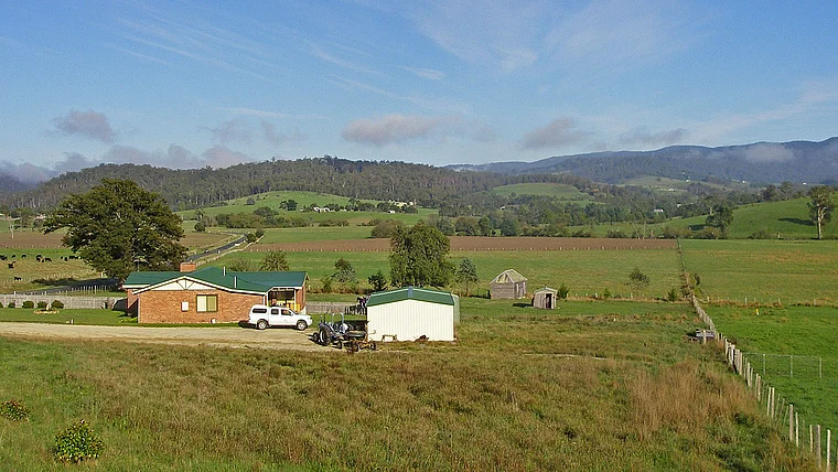 Tasmanien Farm bei Weldborough