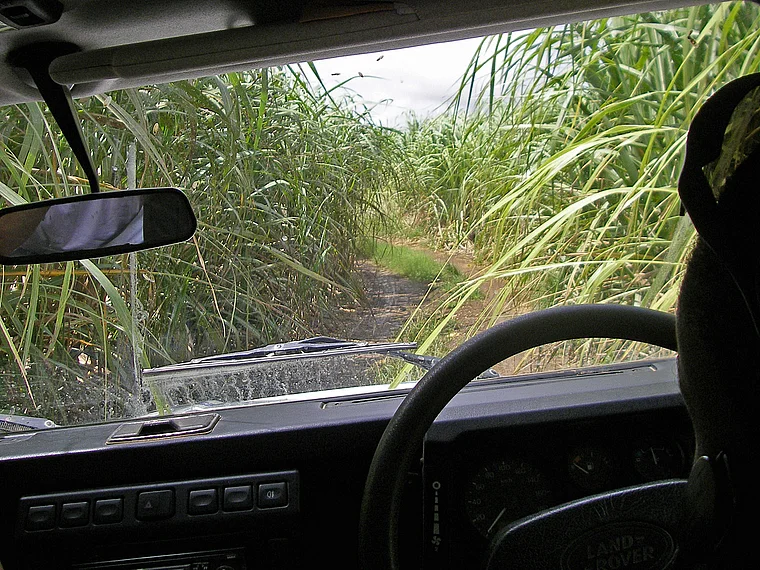 Barbados Jeep Safari durch Zuckerrohrplantage