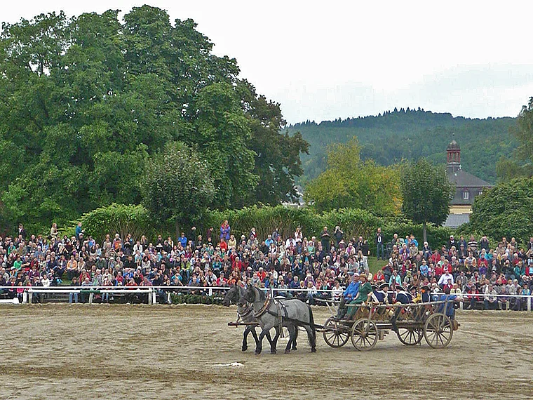 Dillenburg Hengstparade Fuhrwerk