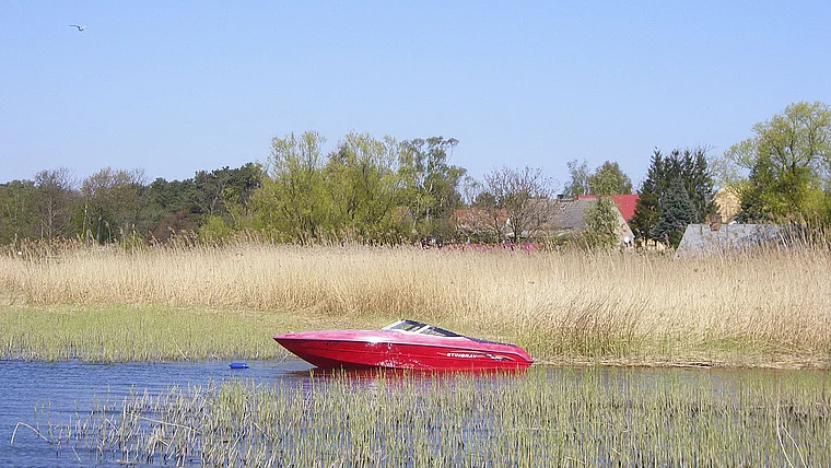 Usedom Achterwasser Motorboot Stingray