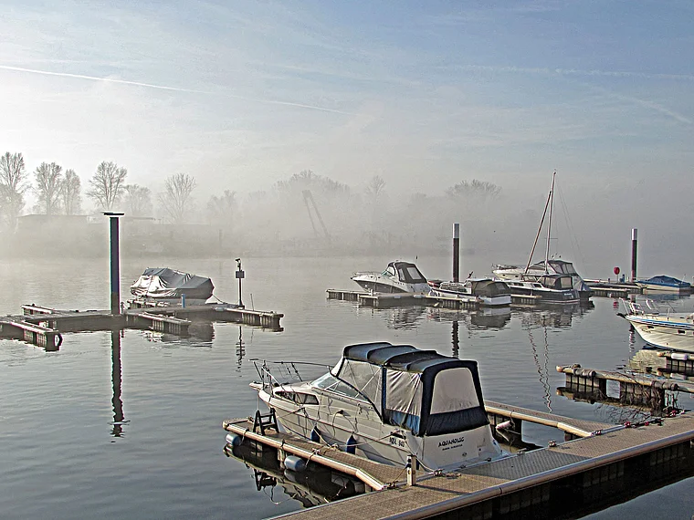 Wiesbaden Schierstein Hafen Nebel