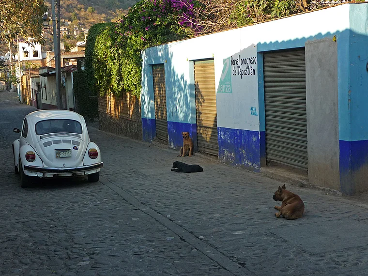 Tepoztlan Mexiko VW Käfer