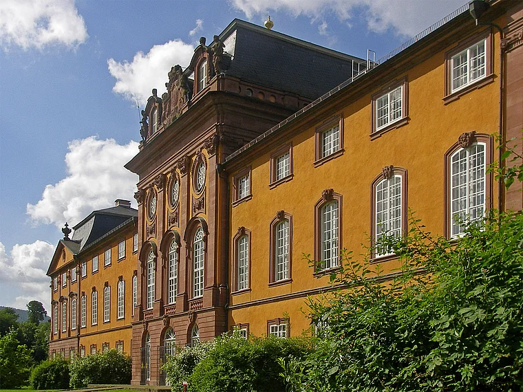 Kleinheubach Schloss Löwenstein außen Totale