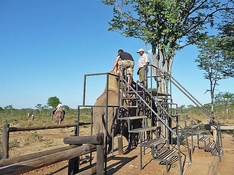 Victoria Falls Wild Horizons Elephant Sanctuary Ausritt mit Elefanten Start