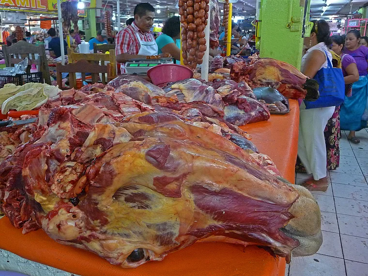 Mexiko Oaxaca Markthalle Rinderschädel