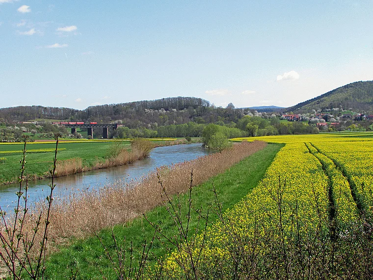 Werra Lindwerra Rapsfeld