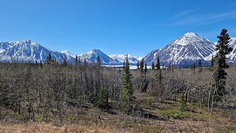 Yukon Haines Road Kluane Nationalpark
