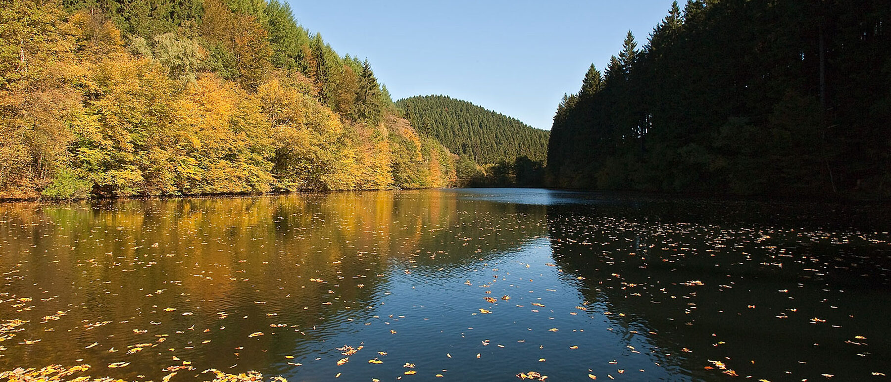 Aggertalsperre Herbst