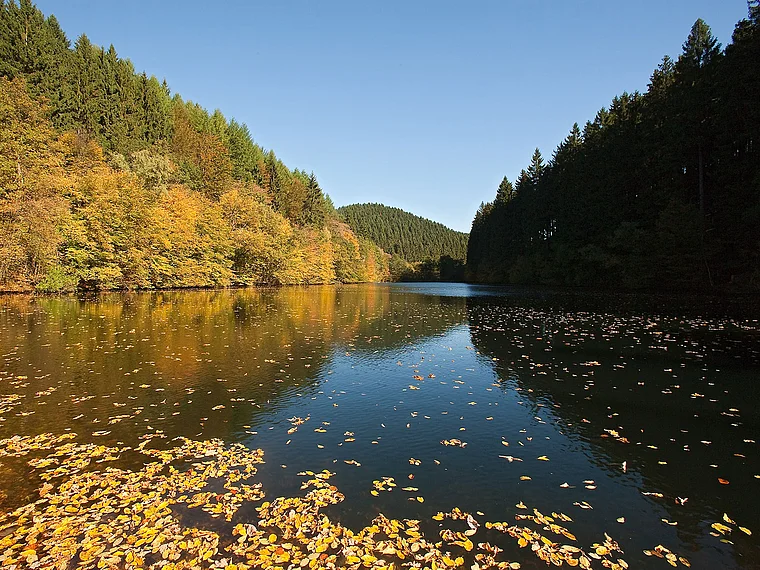 Aggertalsperre Herbst