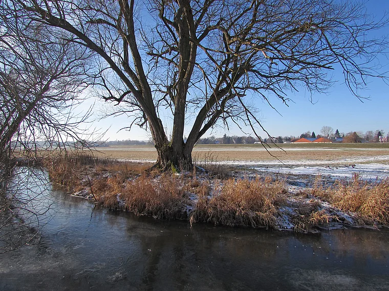 Schwalmstadt Schwalmauen