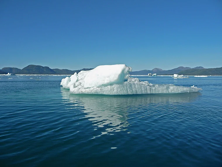 Alaska Prince William Sound Eisscholle