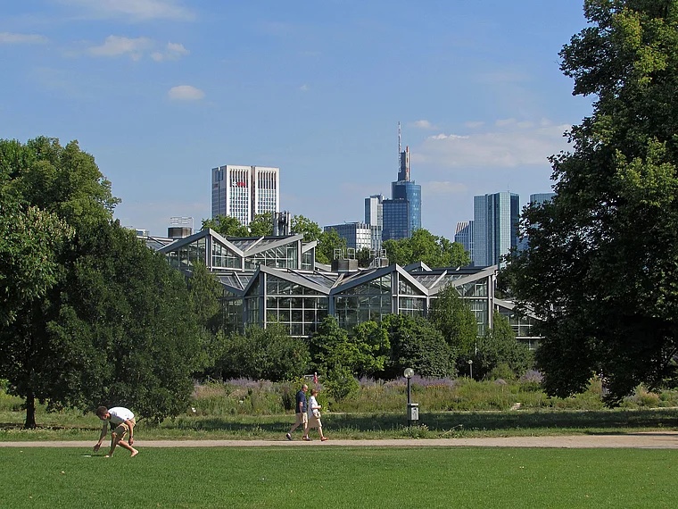 Frankfurt Palmengarten Skyline