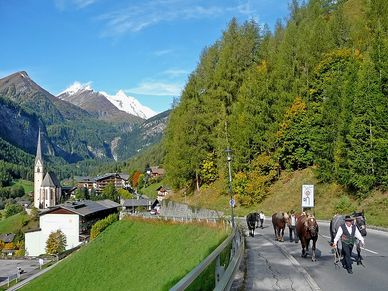 Heiligenblut Großglockner Hochalpenstraße Pferde