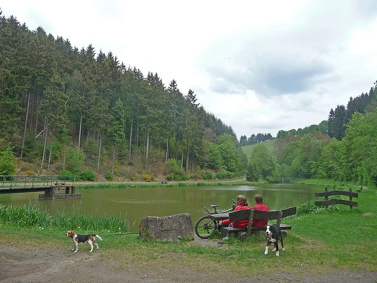 Vulkaneifel Lieserpfad Wanderer mit Hund auf Bank