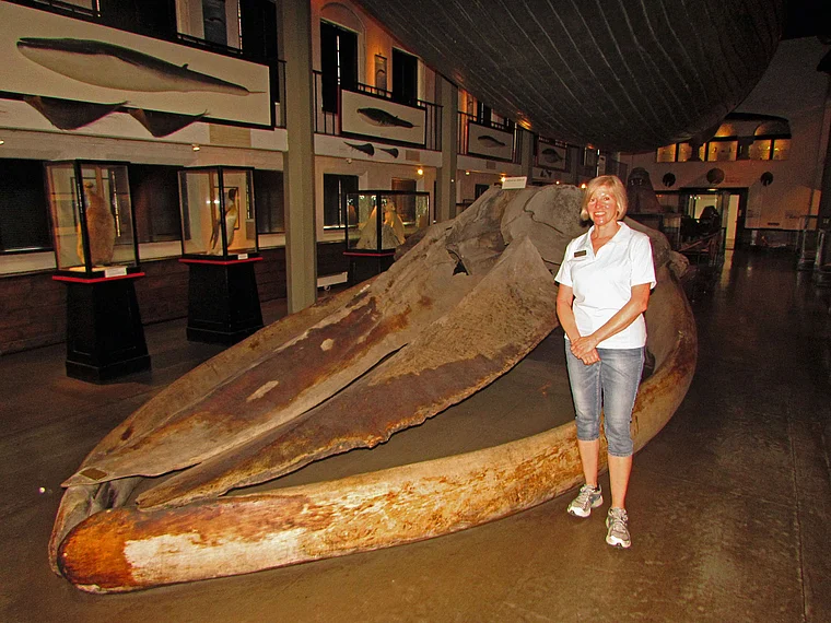 Sandefjord Walfangmuseum Michele Leese