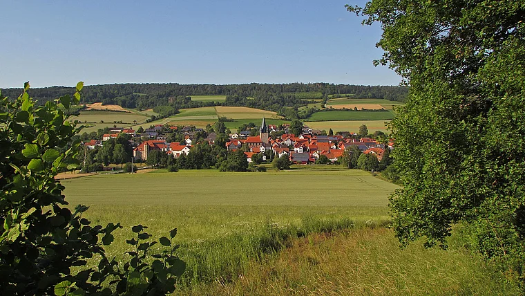 Ringgau Netra von fern