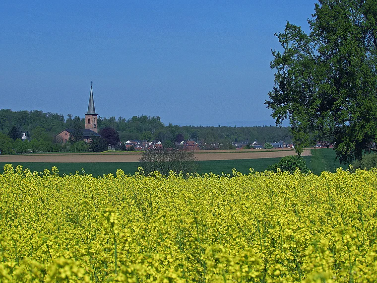 Schaafheim von fern