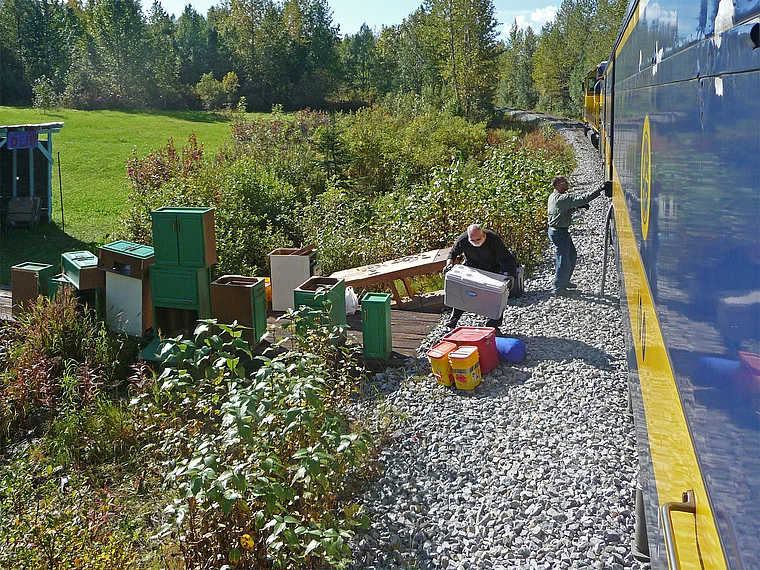 Alaska Railroad Halt auf offener Strecke