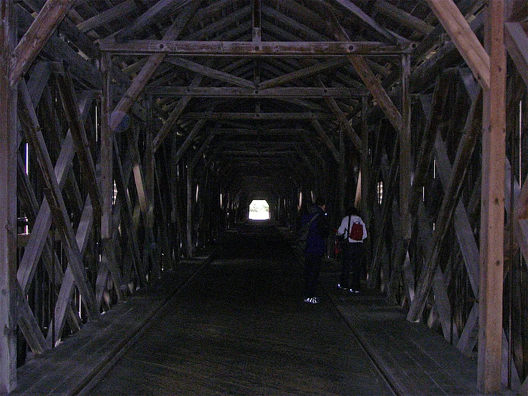 Liechtenstein Vaduz Holzbrücke mit Fußgängern