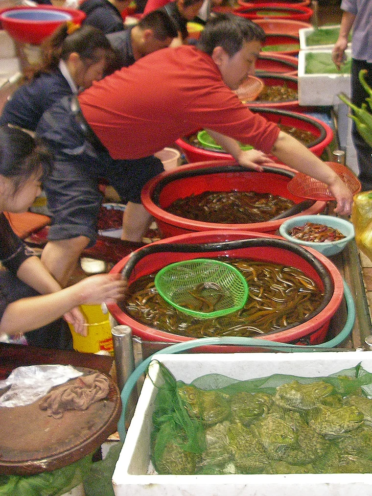 Chongqing Markthalle innen