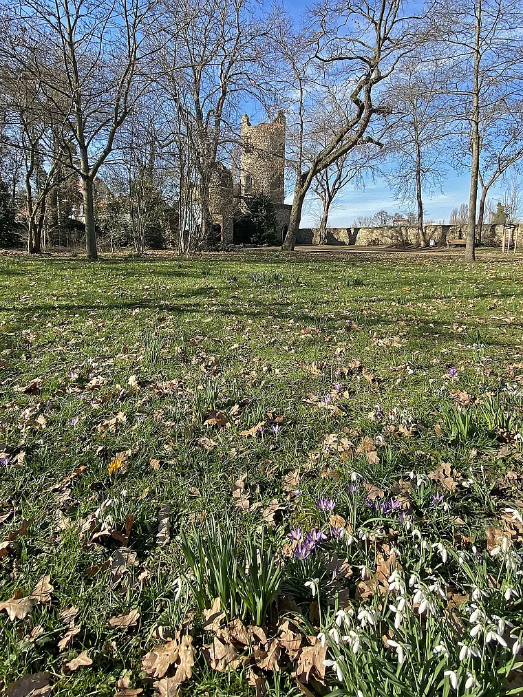 Rüsselsheim Stadtpark