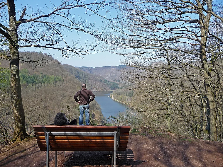 Saar-Hunsrück-Steig Saarschleife Aussichtspunkt