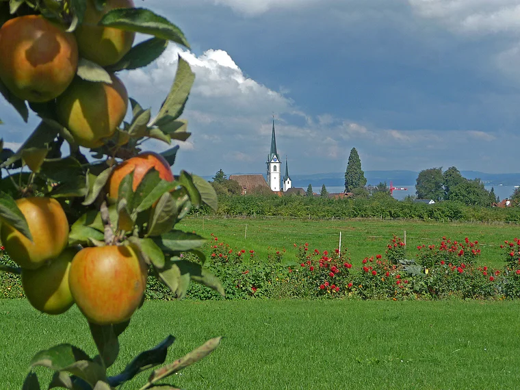 Thurgau Atnau Apfelhof Äpfel nah