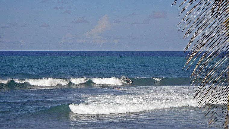 Barbados Bathseba Wellenreiter