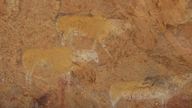 Südafrika Drakensberge Giant's Castle San Höhle Felszeichnung Elenantilopen nah