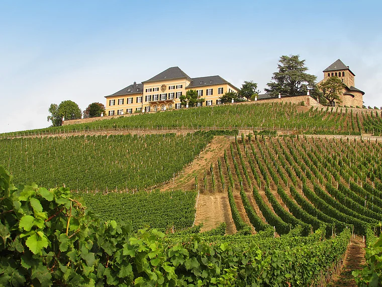 Geisenheim Schloss Johannisberg von fern