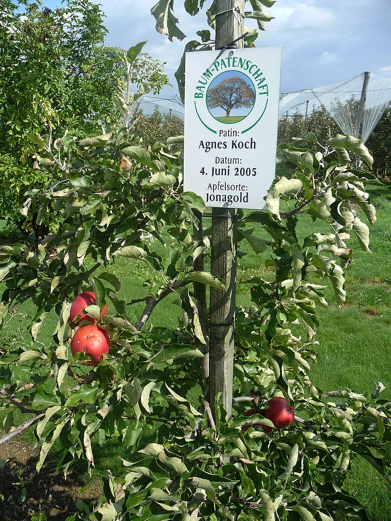 Thurgau Altnau Apfelhof Barth Baumpatenschaft