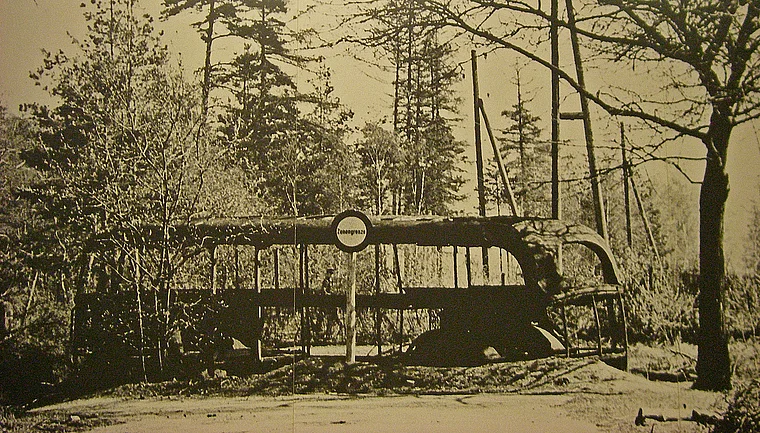 Helmstedt Zonengrenzmuseum Foto ausgebrannter Bus an Grenze