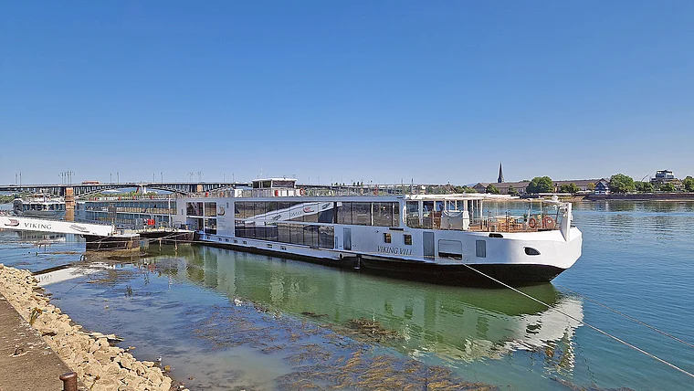 Mainz Viking Vili Niedrigwasser
