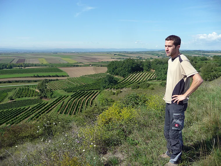 Weinviertel Großriedenthal Weinberge Stefan Mehofer