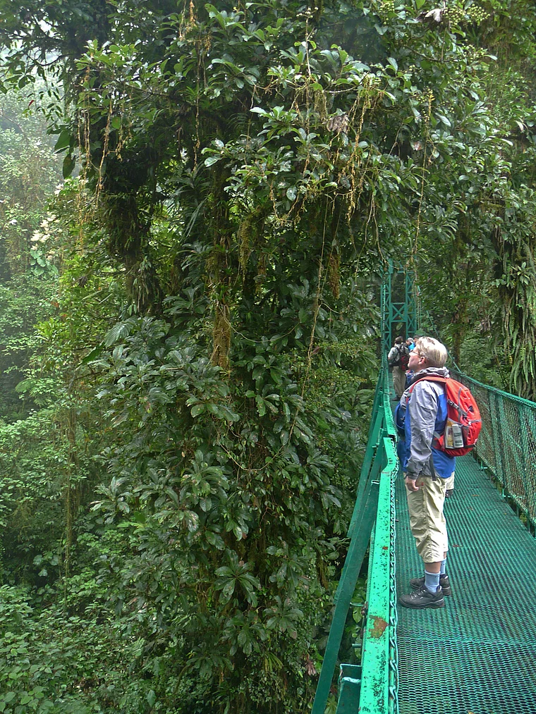 Costa Rica Selvatura Hängebrücke mit Besuchern