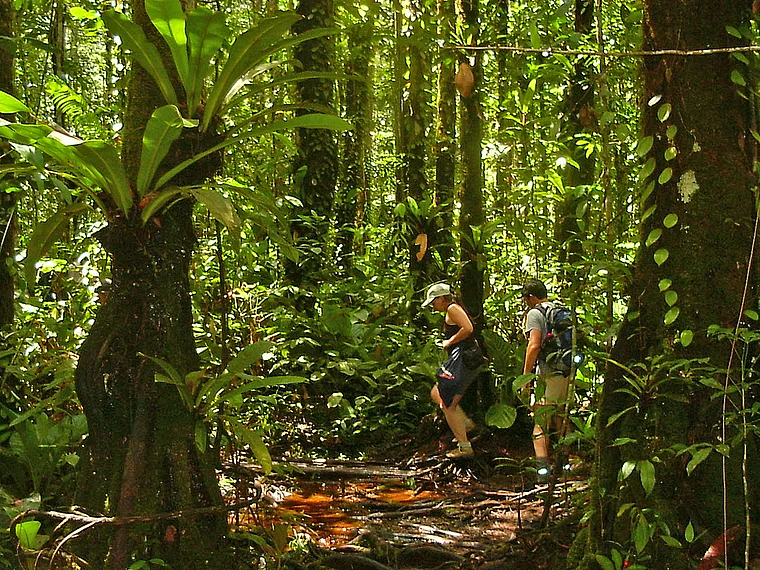 Venezuela Dschungel mit Touristen