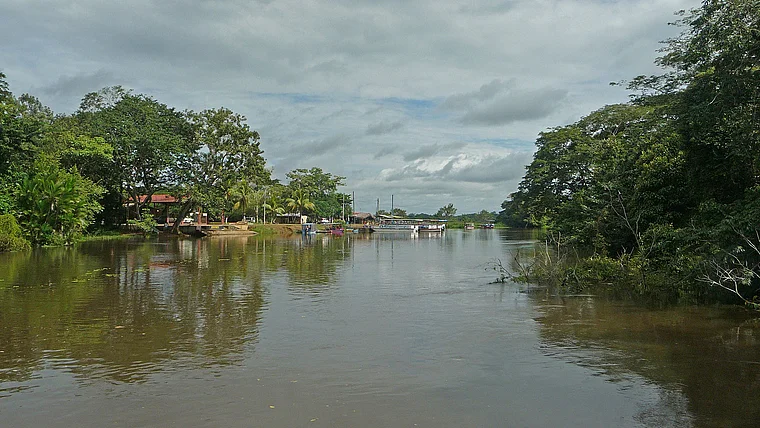 Costa Rica Refugio de Vida Silvestre Caño Negro Totale